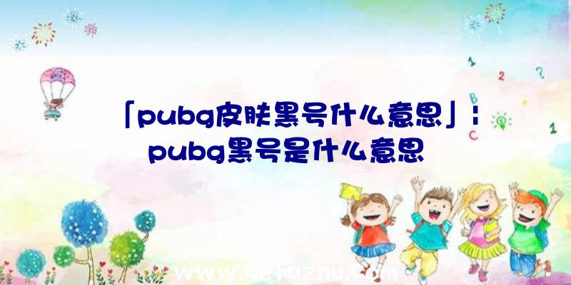 「pubg皮肤黑号什么意思」|pubg黑号是什么意思